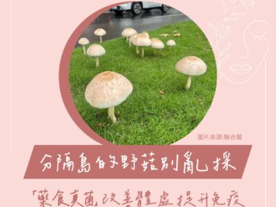 藥食真菌