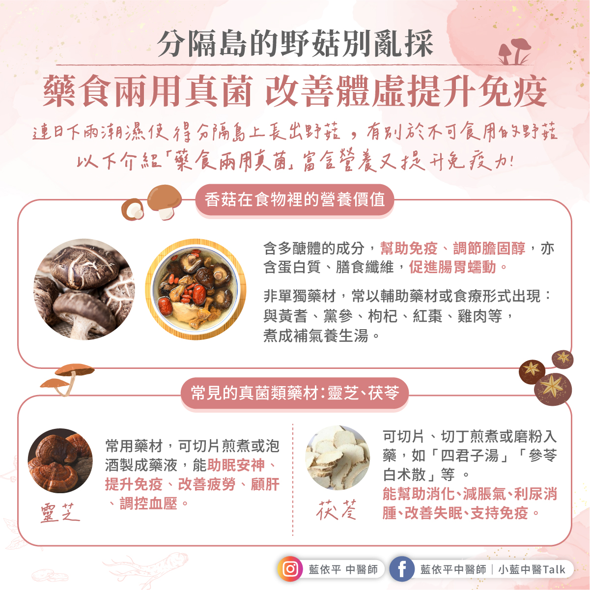 分隔島的野菇別亂採,藥食真菌改善體虛提升免疫 菇類 免疫 提升