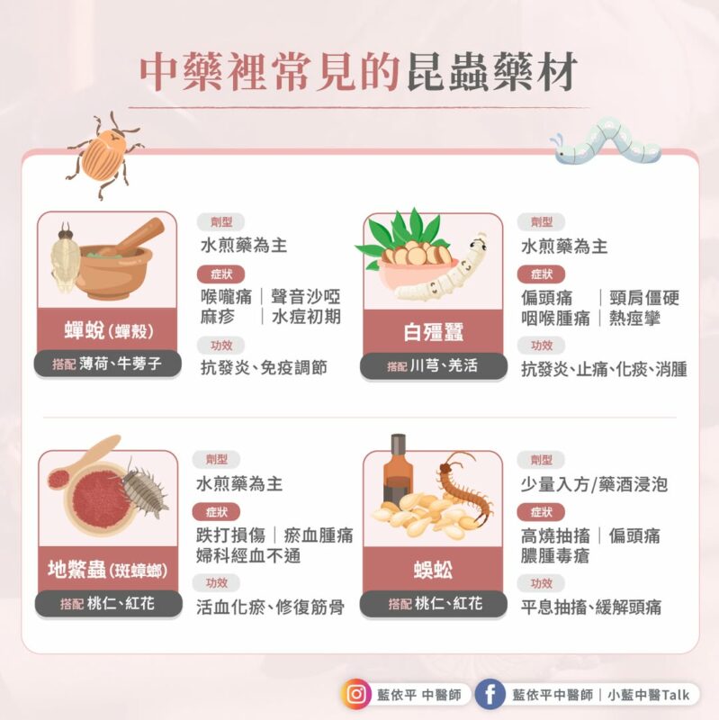 常見 昆蟲藥材