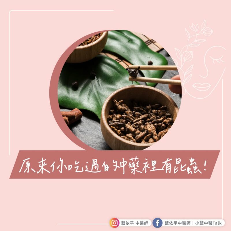 昆蟲 中藥