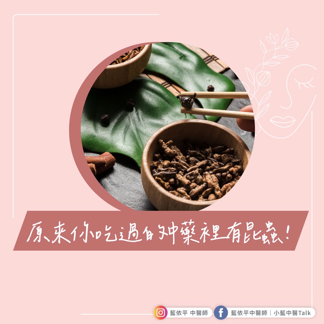 昆蟲 中藥