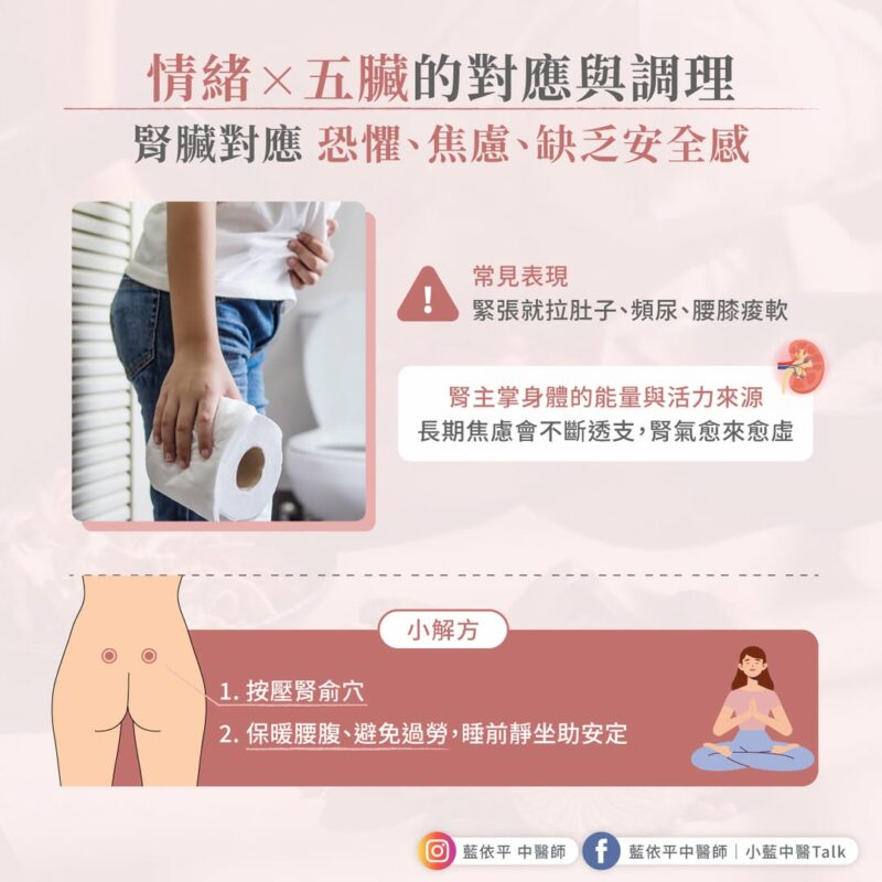 情緒 腎