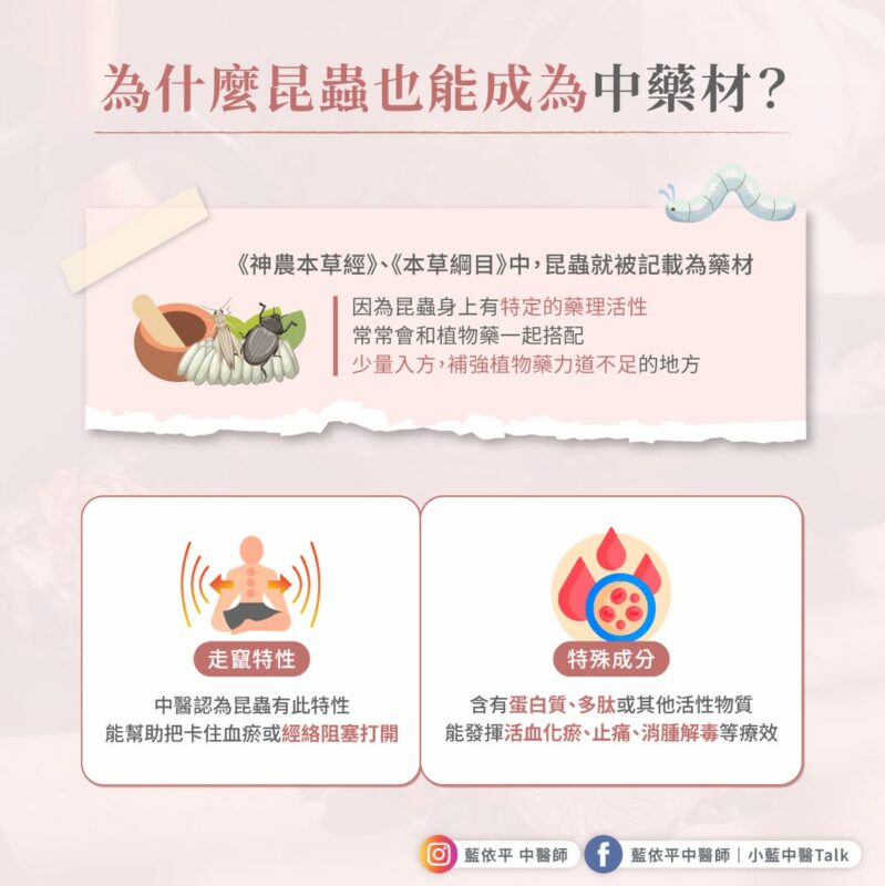 昆蟲 中藥材