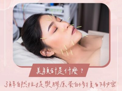 美顏針 介紹